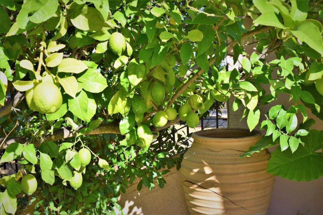 Apanemi Villa-Private Pool Nea Makri Exterior photo