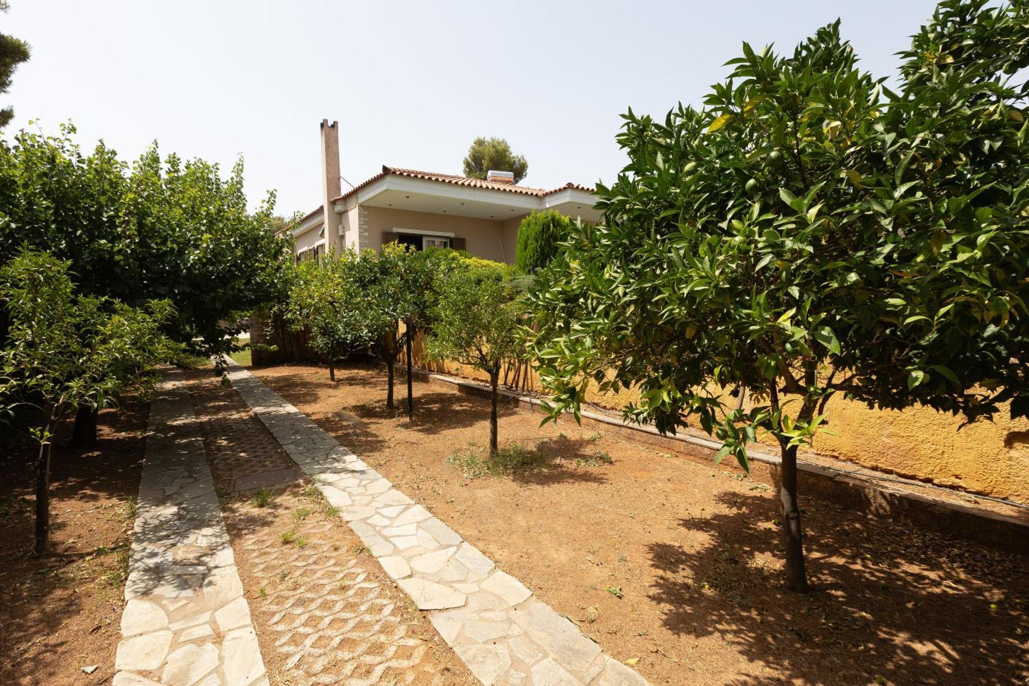 Apanemi Villa-Private Pool Nea Makri Exterior photo